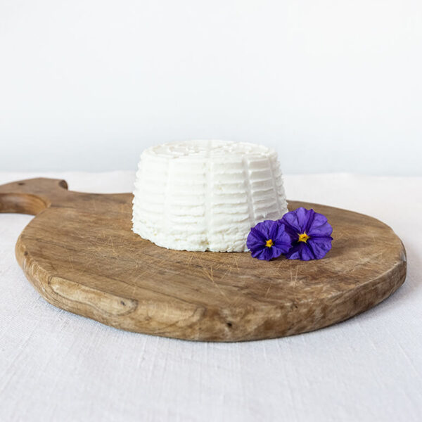 Ricotta