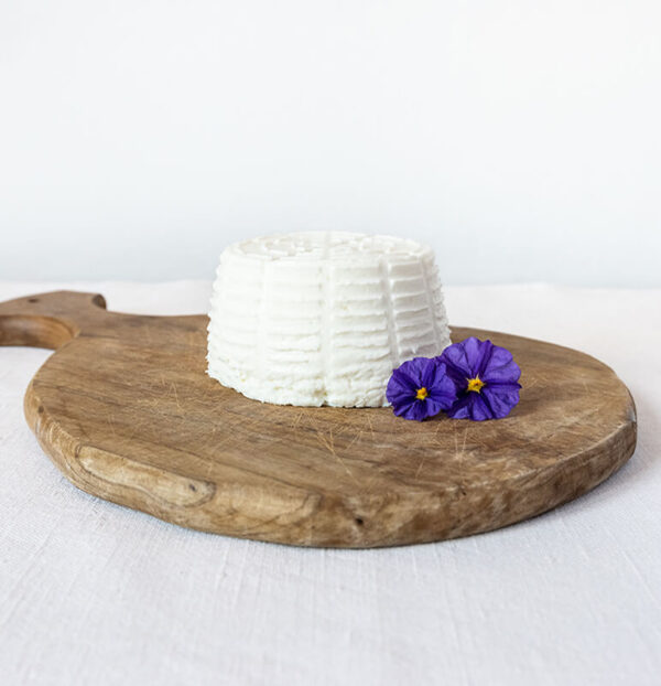 Ricotta
