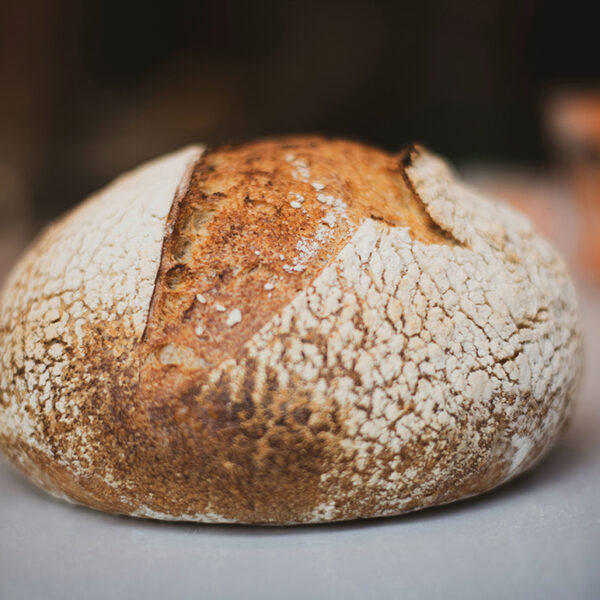 Pane Biologico di grano duro