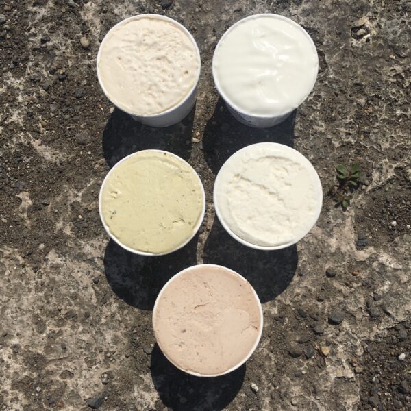 Degustazione dell'Agrigelato biologico