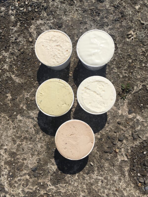 Degustazione dell'Agrigelato biologico